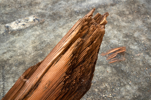 Foto Timber at  volcanic island White Island New Zealand