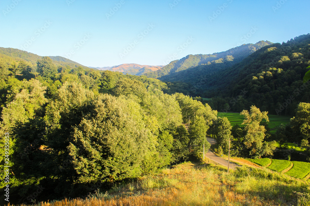 Mountains in Iran with a forest and rice field in a rural area Mountains in Iran with a forest and rice field in a rural area