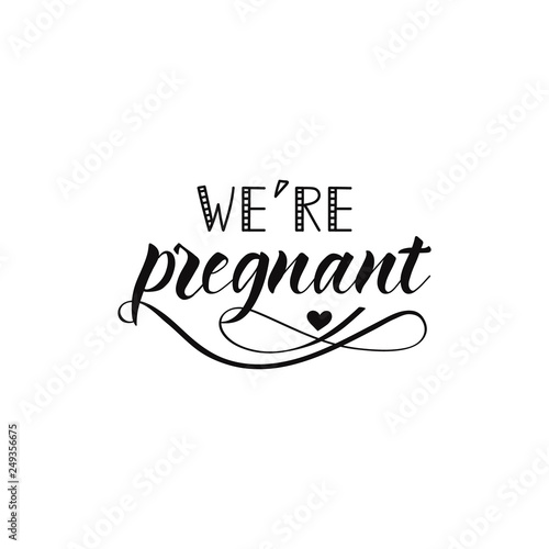 we're pregnant. lettering. Ink illustration. Modern calligraphy phrase. Vector illustration.