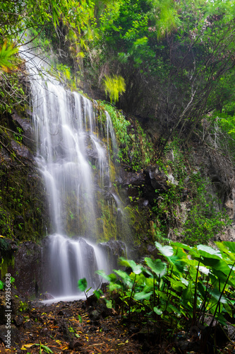 cascade dans la forêt