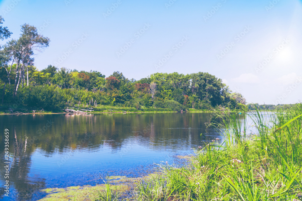 Shore of the Forest River on a sunny day. Summer landscape. Forest by the river Shore of the Forest River on a sunny day. Summer landscape. Forest by the river