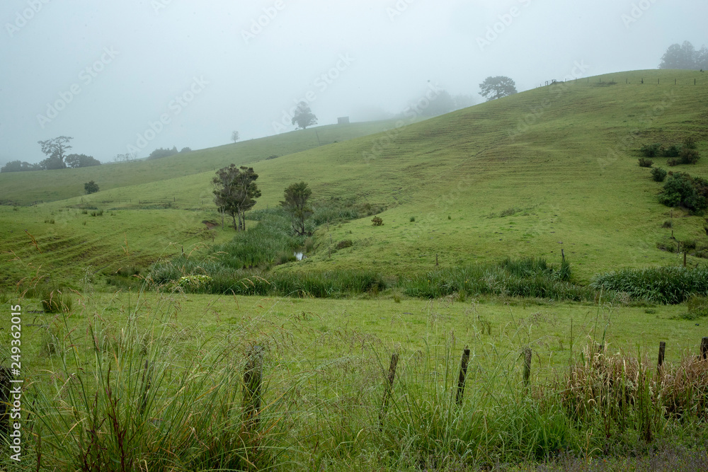 Pohuehue countryside New Zealand. Foggy hills. 