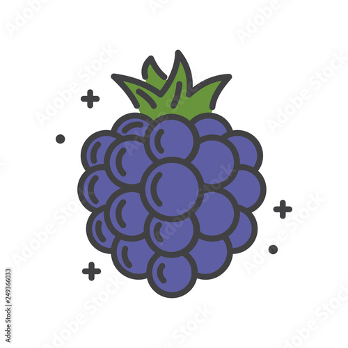 Blackberry line icon on white background for graphic and web design, Modern simple vector sign. Internet concept. Trendy symbol for website design web button or mobile app