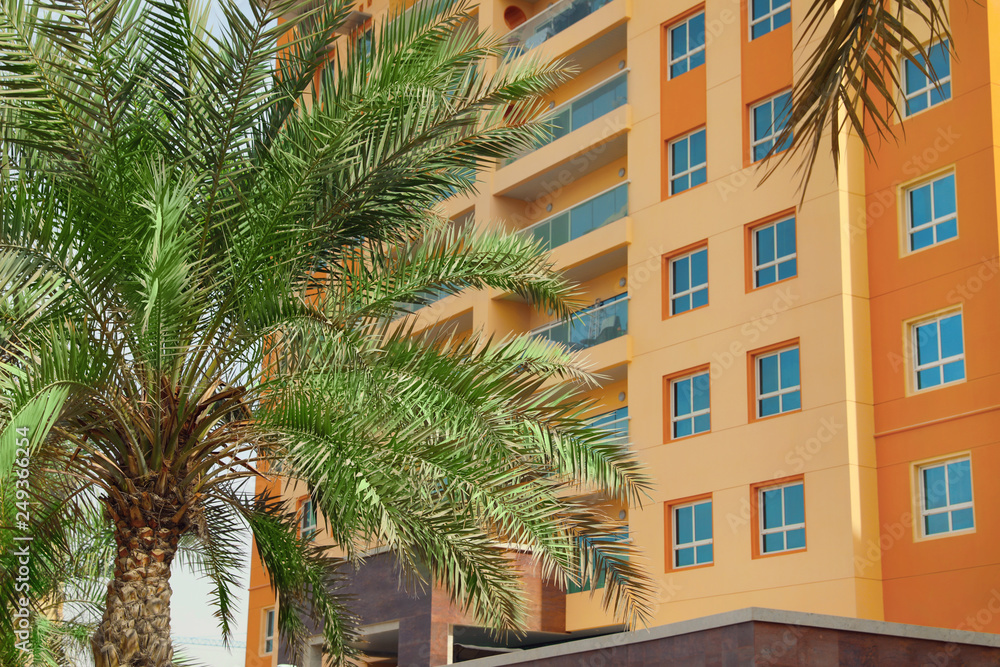 Fototapeta premium Beautiful tropical palm near multi-storey hotel building