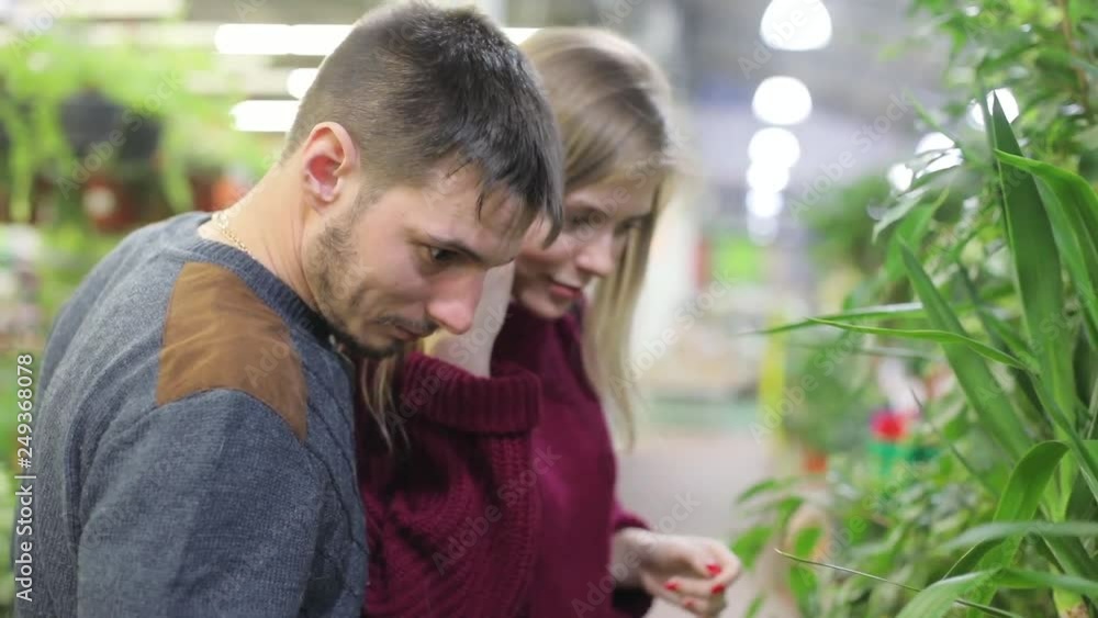 In the plant shop, a young couple chooses plants for a mother's gift. In the plant shop, a young couple chooses plants for a mother's gift.