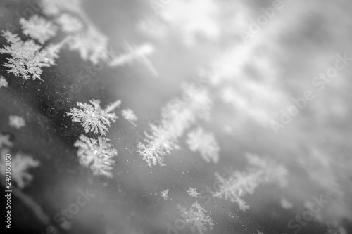 ice crystals in black and white macro © busenlilly666