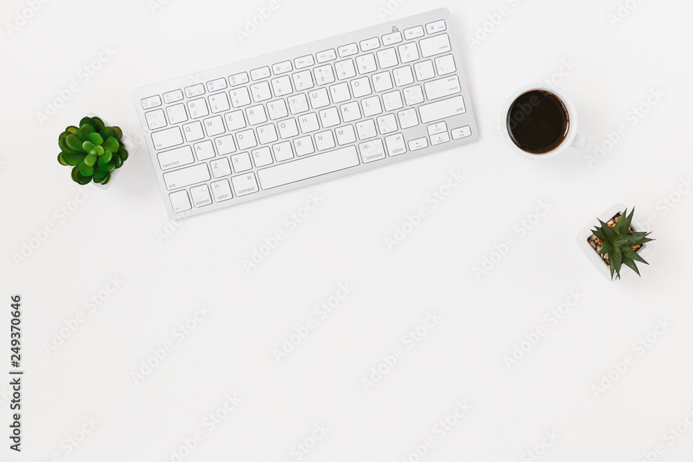 Computer keyboard and succulent flower isolated on white textured background Computer keyboard and succulent flower isolated on white textured background