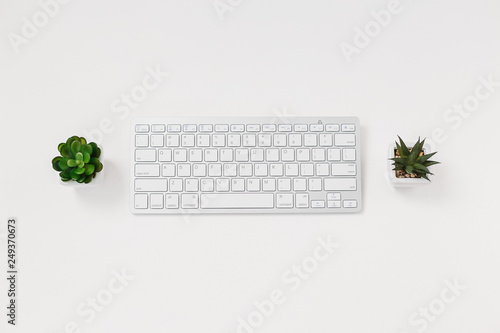 Computer keyboard and succulent flower isolated on white textured background