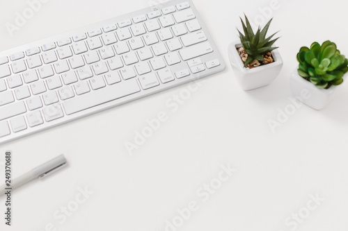 Computer keyboard and succulent flower isolated on white textured background