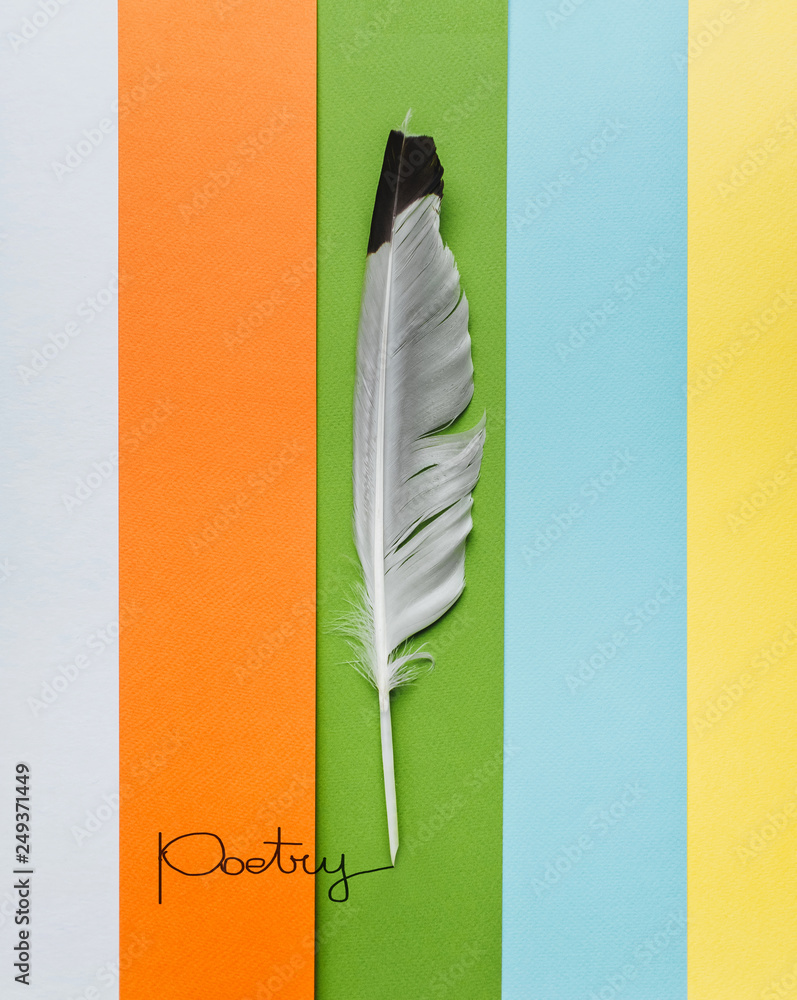 Feather on multicolor paper as a symbol of poetry. Writing and World poetry  day concept. Multicolor background. Stock Photo | Adobe Stock