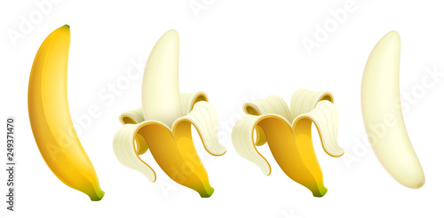 Ripe banana. Tropical purified fruit. Natural organic product. Healthy food. Summer meal. Isolated white background. Eps10 vector illustration.