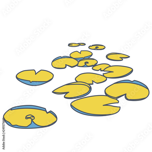Outlined vector water lilies floating on water surface. Yellow low poly water lily. Water plants in different variant, isolated on white background. Isometric clumps growing on edge of pool and pond