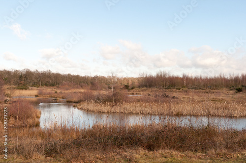 outside reeds along waterway nature landscape background