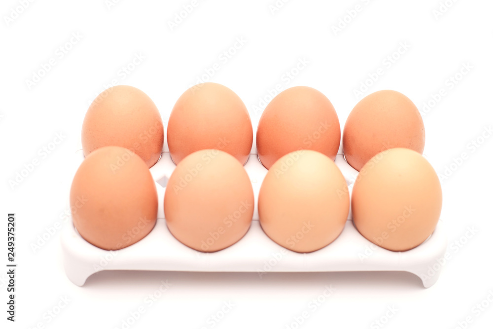 egg in clear plastic tray on white background egg in clear plastic tray on white background