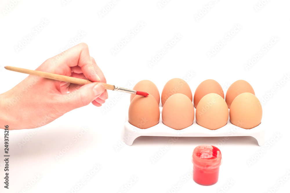 egg in clear plastic tray on white background egg in clear plastic tray on white background