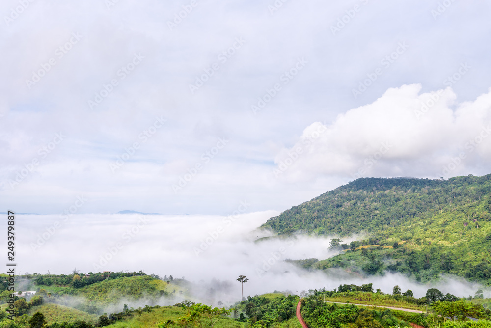 Obraz premium Fog in the valley at Khao Kho