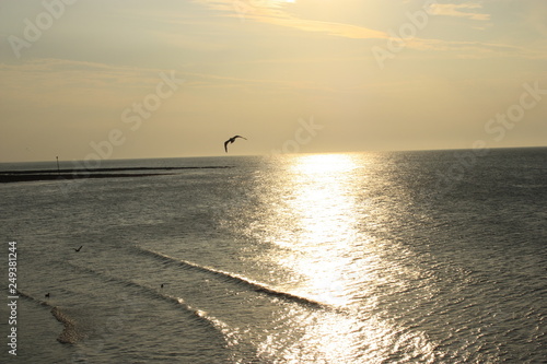 beach sunset