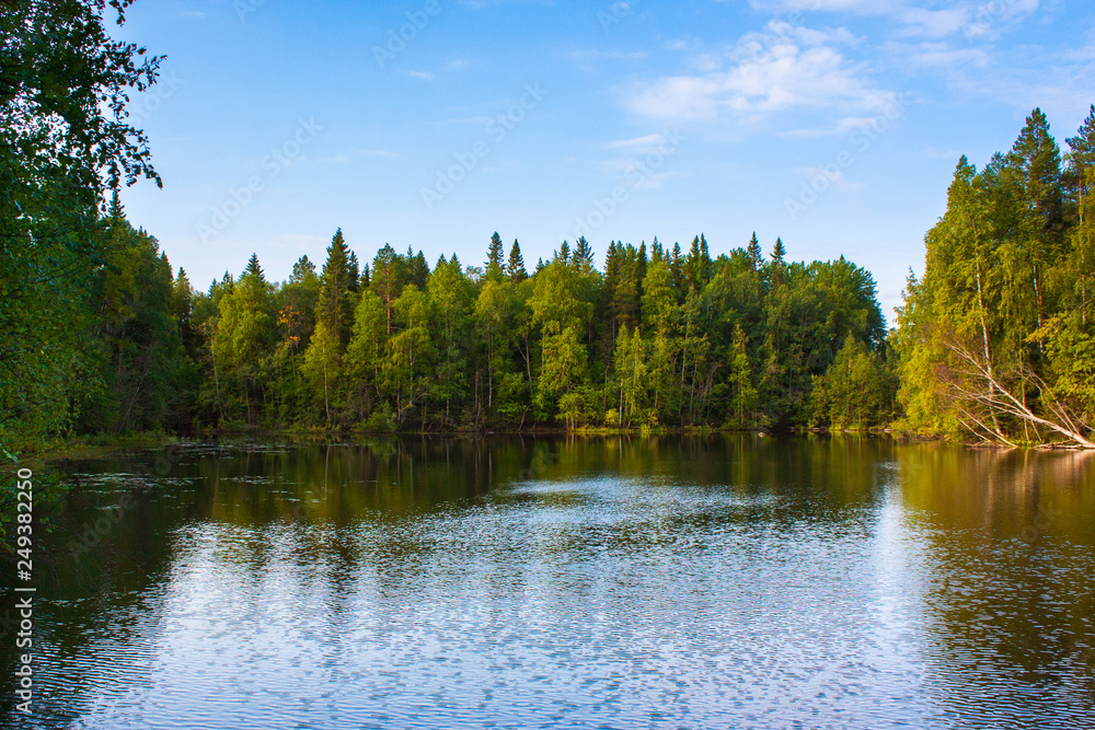 lake in the forest, озеро в Карелии 