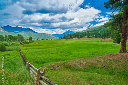 Alpine Meadow with Fence