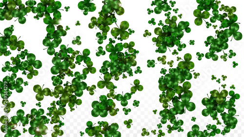 Vector Clover Leaf  Isolated on Transparent Background with Space for Text. St. Patrick s Day Illustration. Ireland s Lucky Shamrock Poster. Invintation for Concert in Pub. Top View. Success Symbols.