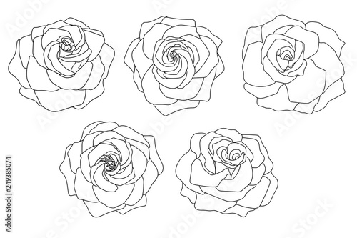 A set of vector roses. Black line art isolated on white.