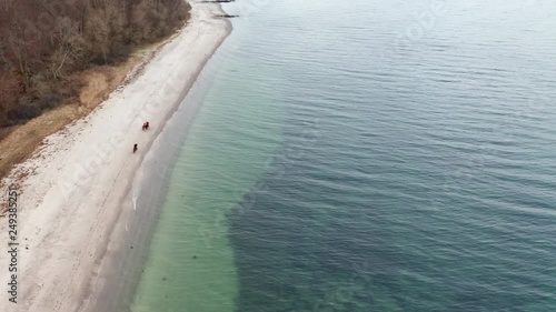 Wallpaper Mural Horses galloping on a breath taking shoreline in Denmark Torontodigital.ca