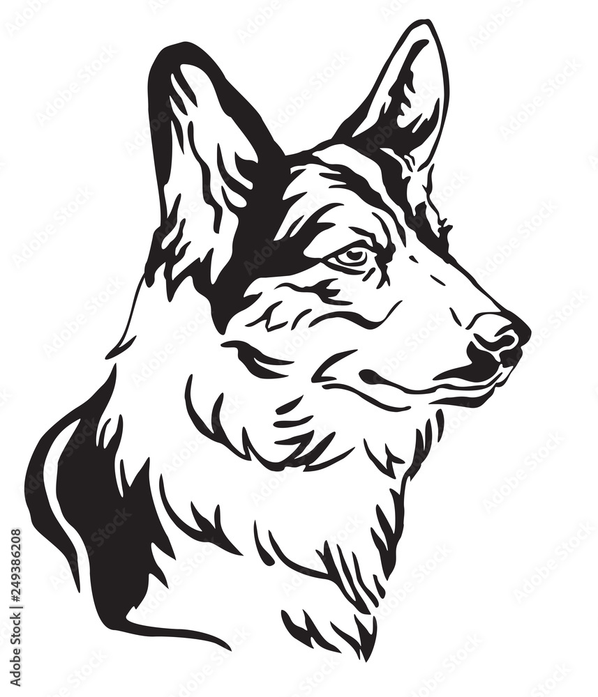 Decorative portrait of Dog Welsh Corgi vector illustration