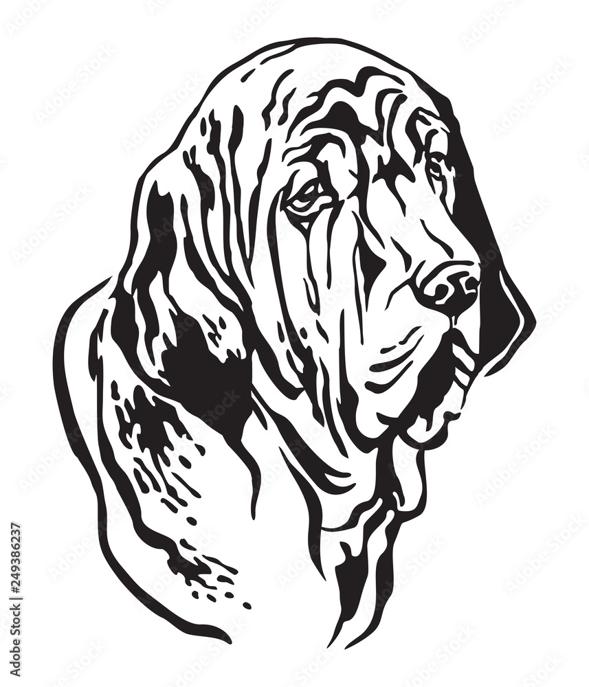 Decorative portrait of Fila Brasileiro Dog vector illustration