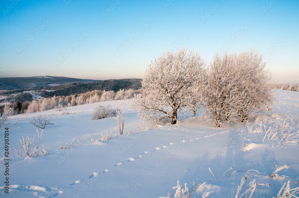 winter morning in the mountain valley winter morning in the mountain valley