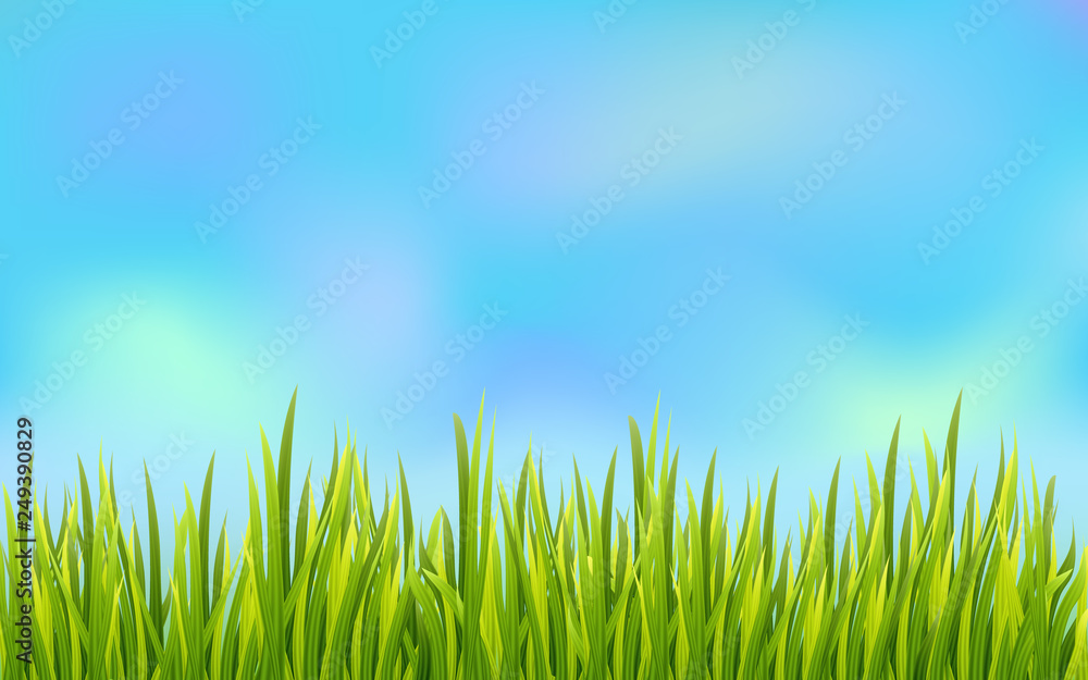 Fototapeta premium Fresh grass border with blue sky background. Golf field decoration element. Vector illustration..