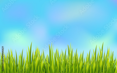 Fototapeta Naklejka Na Ścianę i Meble -  Fresh grass border with blue sky background. Golf field decoration element. Vector illustration..