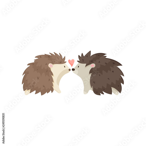 Two cute hedgehogs gently look in the eyes with great love on a white background