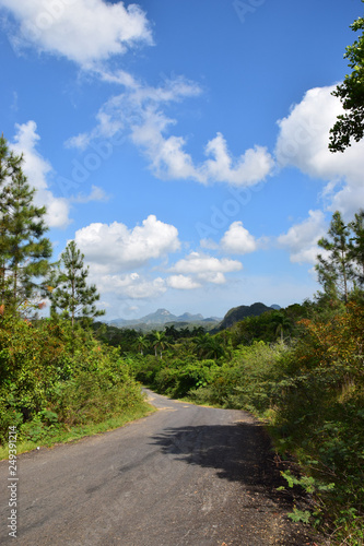 Waldweg im Westen Kubas © hydebrink