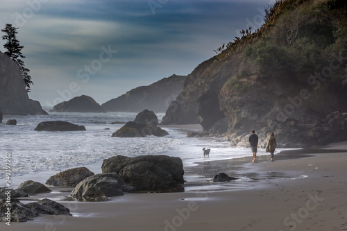 Dog on a beach walk photo