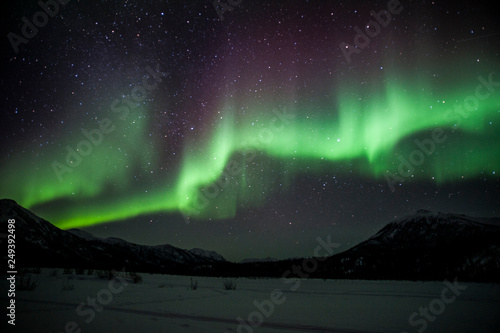 Obraz na plátne Northern  Lights