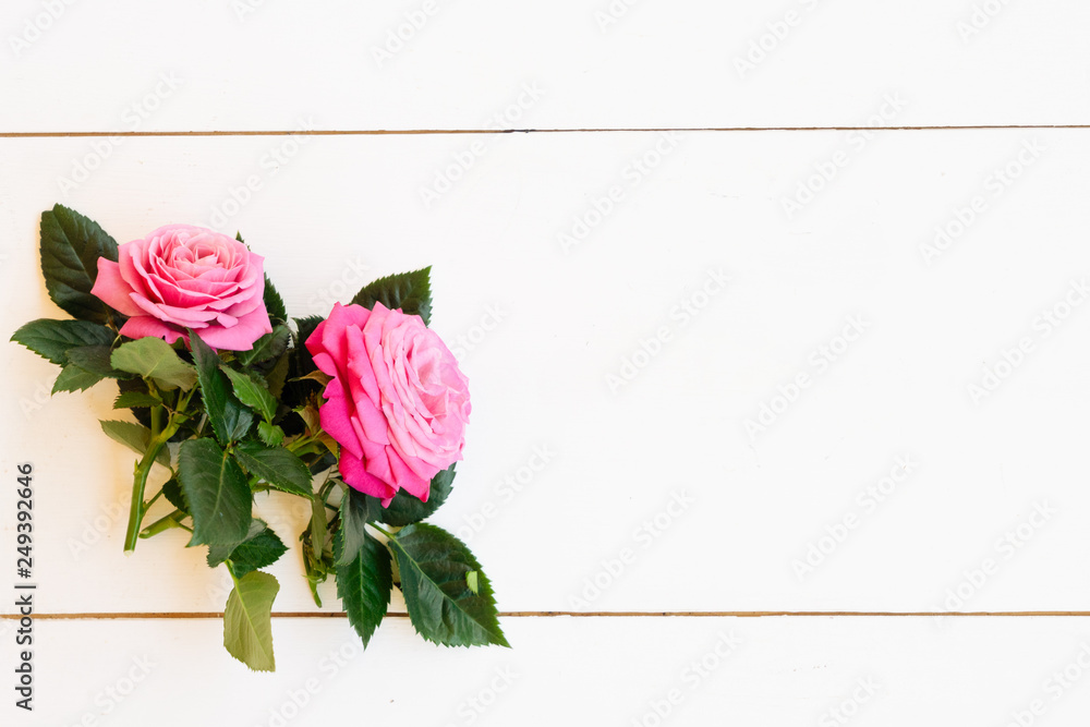 Obraz fresh rose flowers