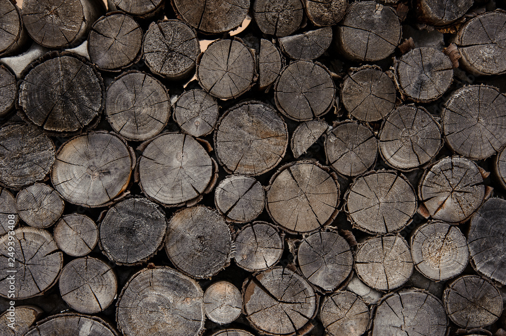 Textured background of the old firewood logs in cut Textured background of the old firewood logs in cut