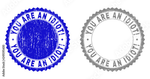 Grunge YOU ARE AN IDIOT! stamp seals isolated on a white background. Rosette seals with distress texture in blue and gray colors.