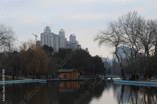 City park with big fish, ducks and turtles is a great place to rest © Александр Шмидт