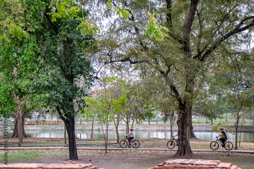 Wat Mahathat Temple in Ayutthaya, Thailand