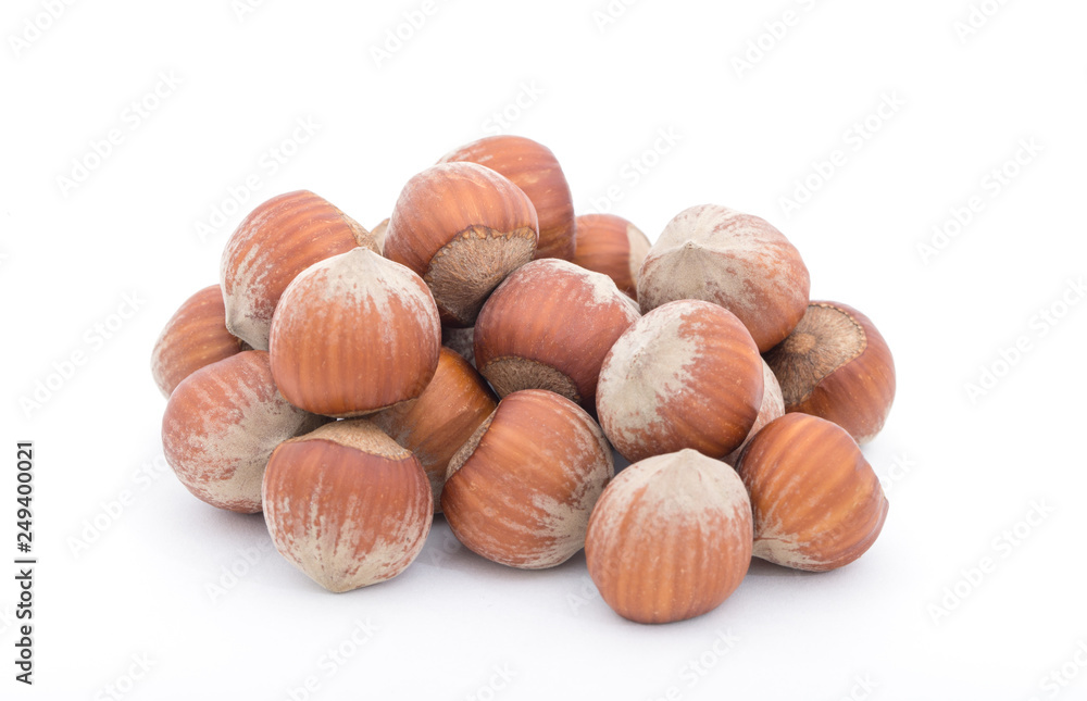 nuts hazelnuts isolated on white background nuts hazelnuts isolated on white background