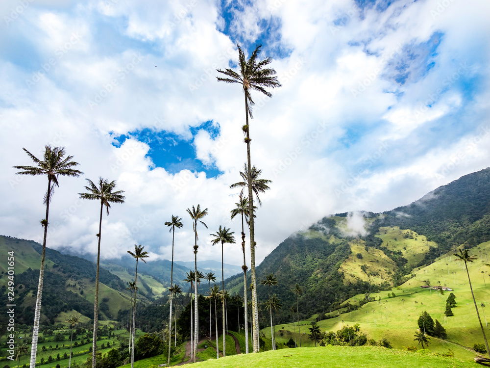 Beautiful mountainous scenery of Valle del Cocora in Salento, Colombia