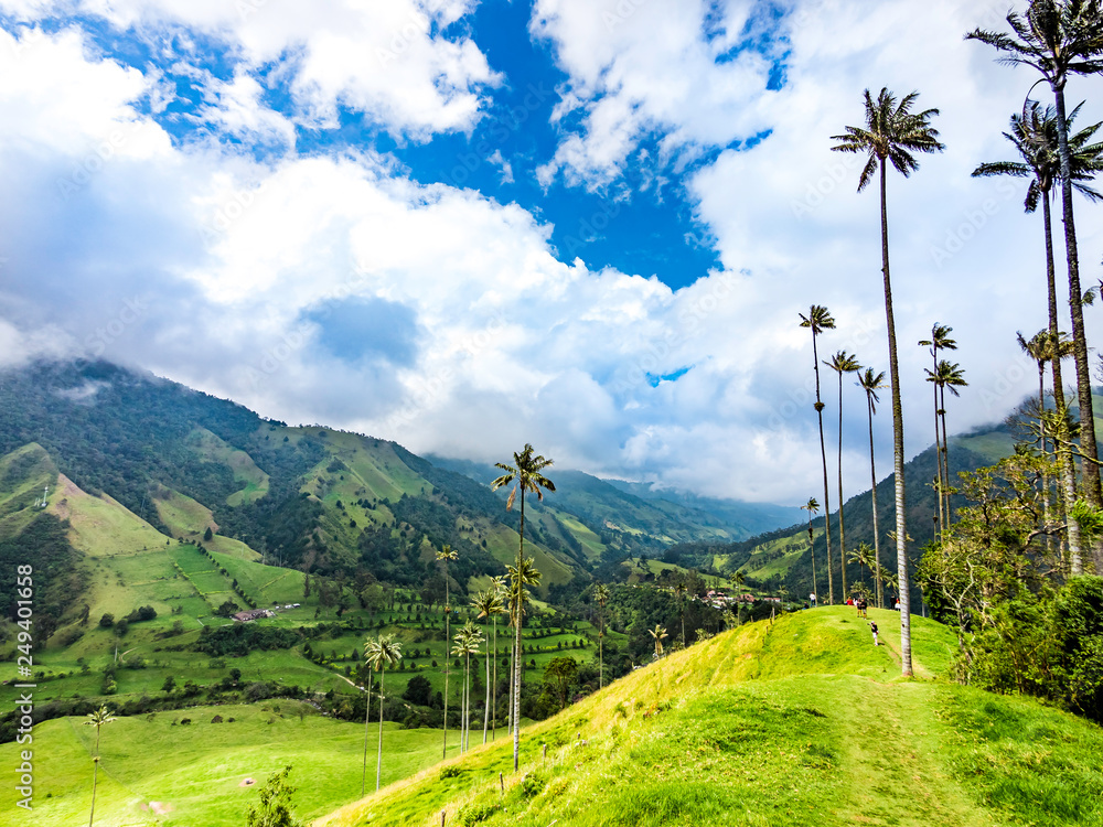 Beautiful mountainous scenery of Valle del Cocora in Salento, Colombia
