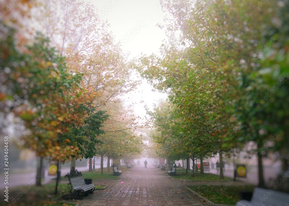 Naklejka premium Autumn landscape.