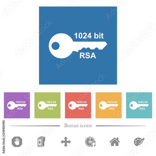 1024 bit rsa encryption flat white icons in square backgrounds