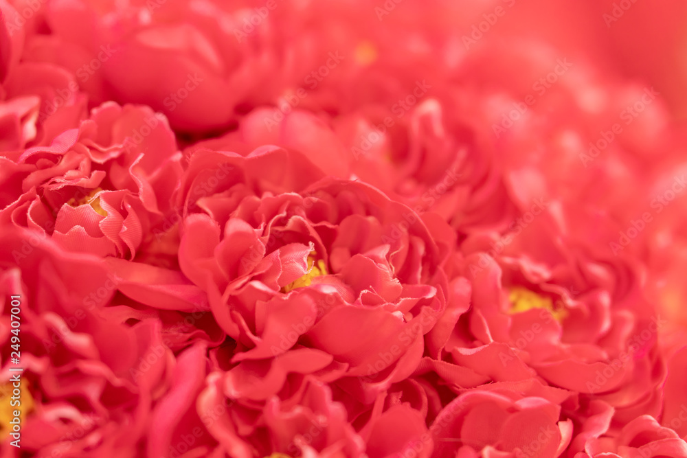 Fototapeta premium field of sweet red rose, beautiful artificial flower wall for romantic Valentine's day background
