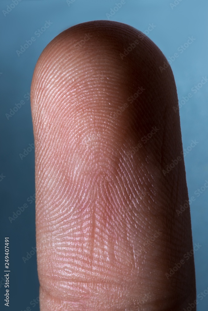 an image of human finger close up an image of human finger close up