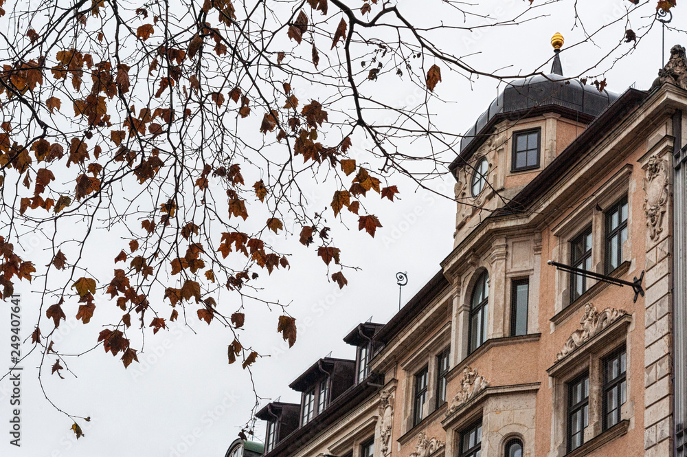 Munich, Bavaria, Germany - December 31, 2018:  Beautiful houses and shops in Neuhauser street, Munich - Germany