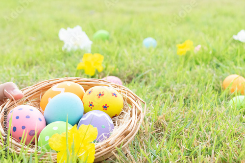 Happy Easter. Easter eggs concept. The colorful of Easter eggs in nest on grass green background.