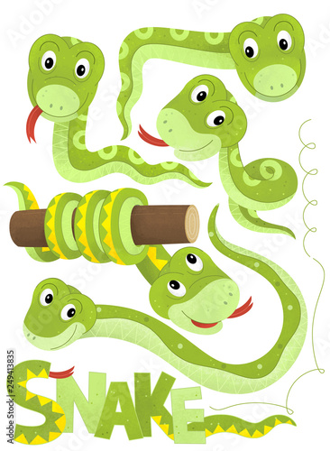 Fototapeta Naklejka Na Ścianę i Meble -  cartoon scene with set of snakes on white background with sign name of animal - illustration for children